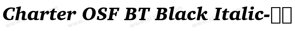 Charter OSF BT Black Italic字体转换